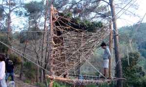 7_TreeHouse_2005101