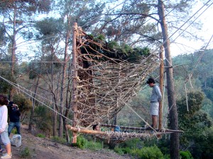 7_TreeHouse_2005101