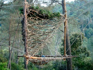8_TreeHouse_2005101